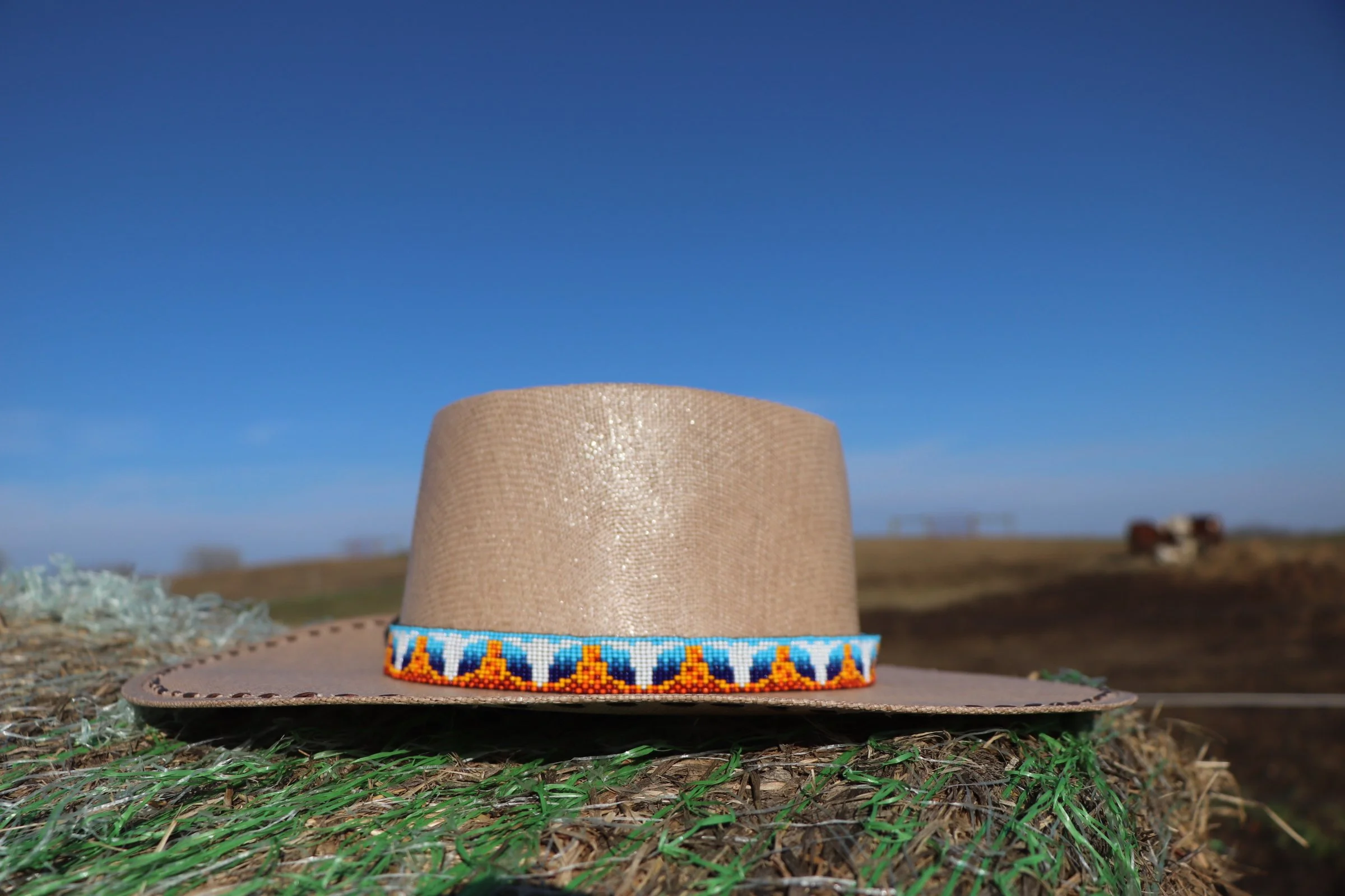 Diamondback Desert Hatband — Yonder Horse